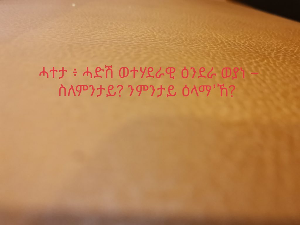 ሓተታ ፥ ሓድሽ ወተሃደራዊ ዕንደራ ወያነ – ስለምንታይ? ንምንታይ ዕላማ’ኸ? 
