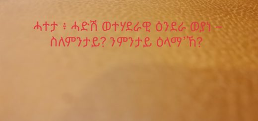 ሓተታ ፥ ሓድሽ ወተሃደራዊ ዕንደራ ወያነ – ስለምንታይ? ንምንታይ ዕላማ’ኸ?