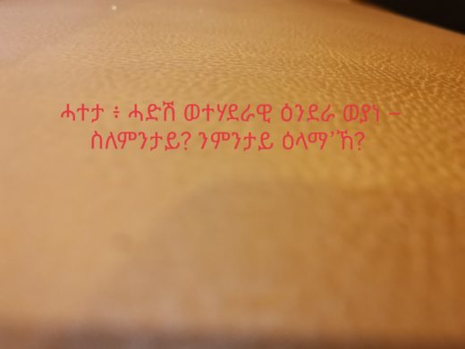 ሓተታ ፥ ሓድሽ ወተሃደራዊ ዕንደራ ወያነ – ስለምንታይ? ንምንታይ ዕላማ’ኸ?
